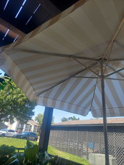 Umbrella