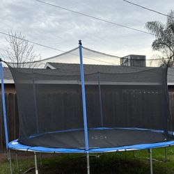 Trampoline 