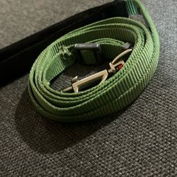 6 Ft Nylon Dog Leash 
