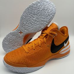 Rare Nike Zoom LeBron NXXT Gen TB Promo Team Orange Men's Size 15