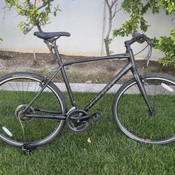 Giant Escape Bike