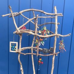Parrot Perch Tree … A Must Have For That Talkative African Grey Or Sassy Amazon ! 🦜
