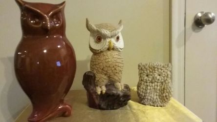 Owls...lovers...3 for 14