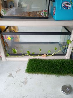 Aquariums