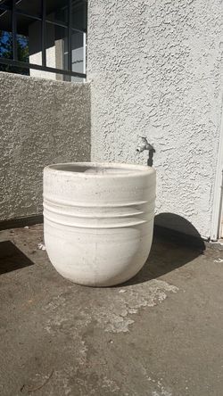 Pot