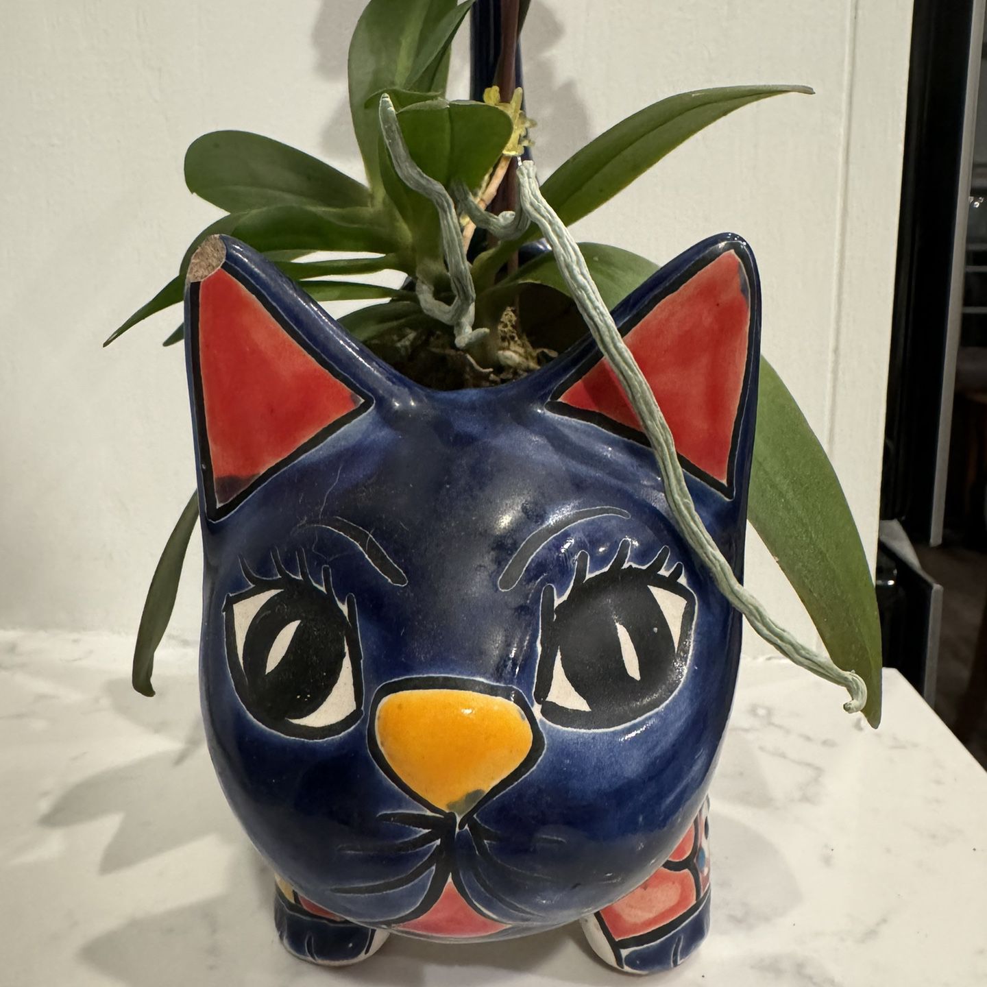 One Of A Kind: Orchid Plant In Talavera Cat Planter 🐈 