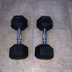 20 Pound Dumbbells