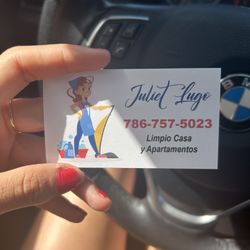 Cleaning Hause Or Apartamento 