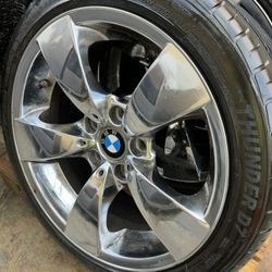 4- DELINTE RADIAL SPORTS 