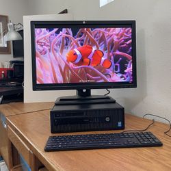 HP ProDesk Computer ~ 16 GB ~ 24” LED Display