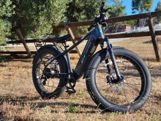 Electric bike