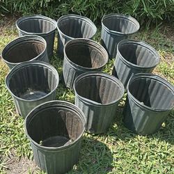 10 Plastic Pots Size 2 Gallons All For $12