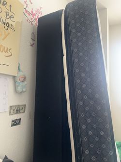 Twin XL Bed Mattress