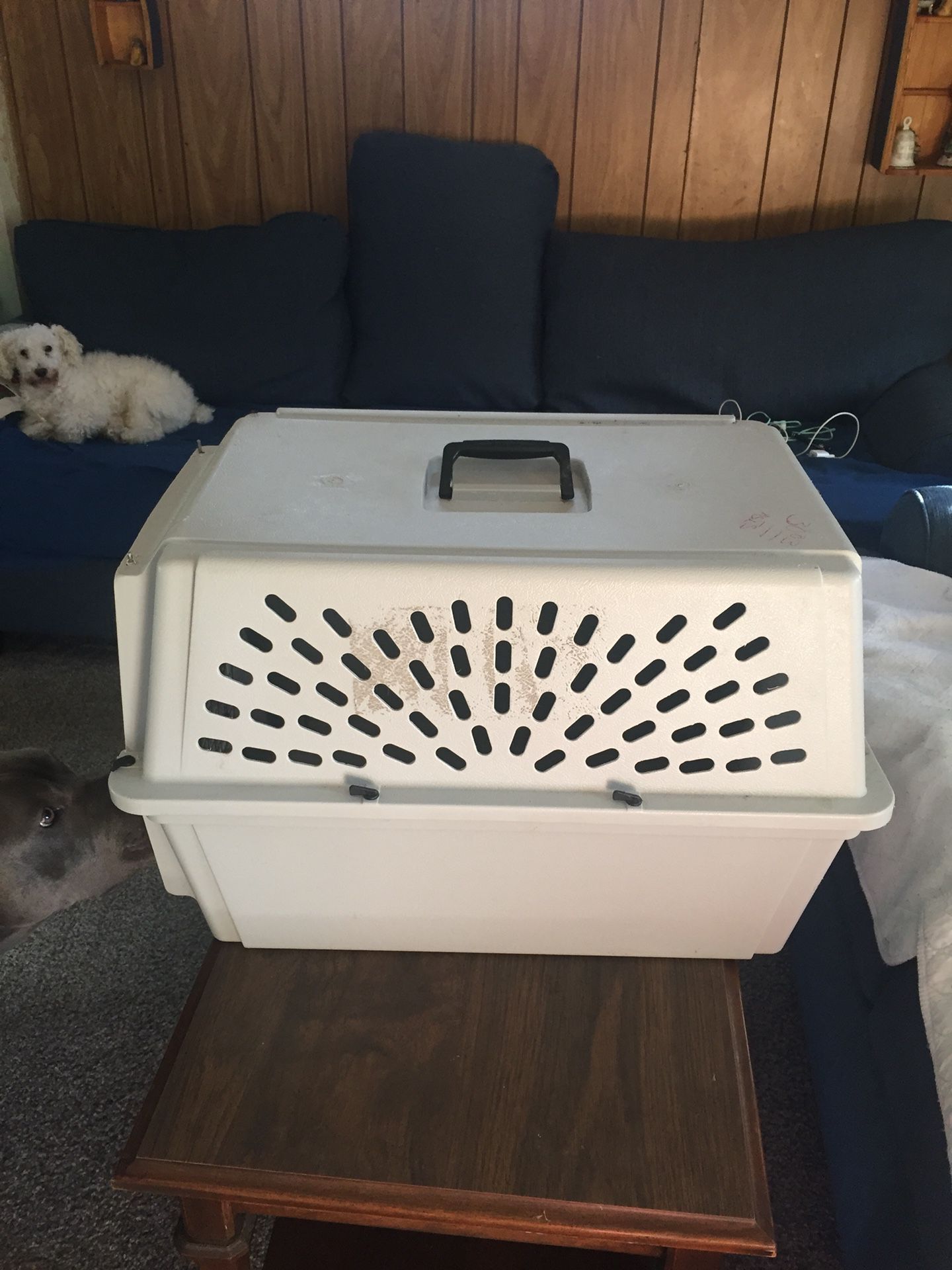 Medium dog/cat crate.