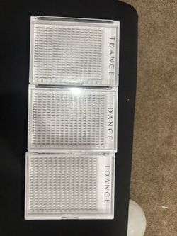 lash cases