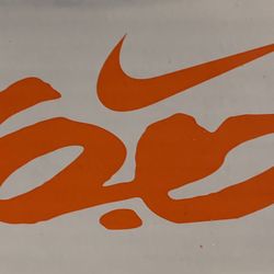 NIKE Braata LR Mid