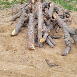 Fire Wood / Smoking Wood,