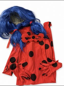 Miraculous Costume