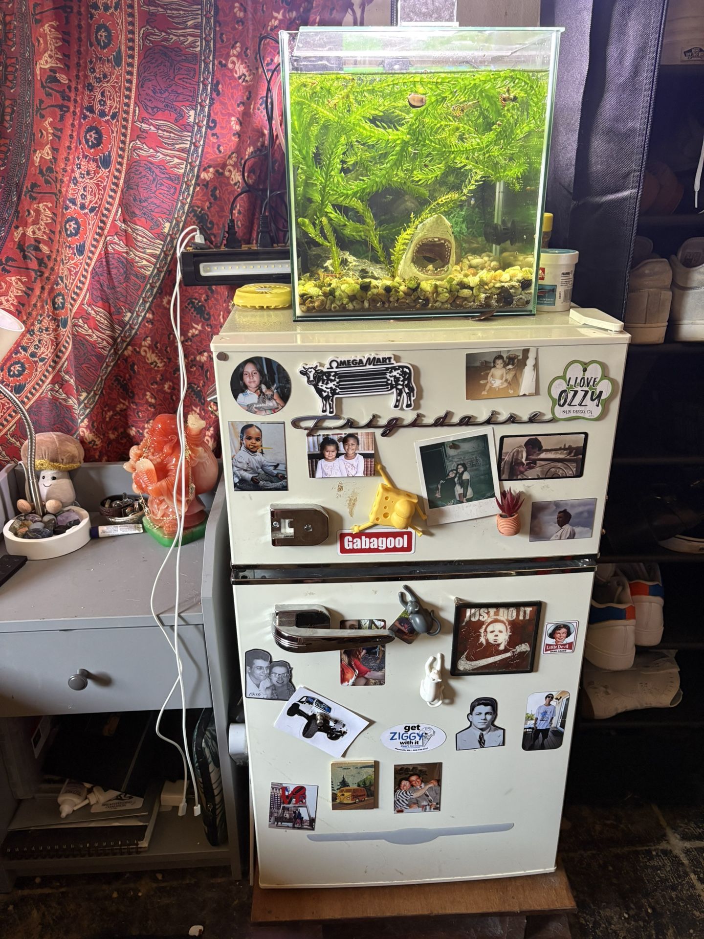 Mini Fridge!