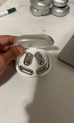 Earphones/headphones