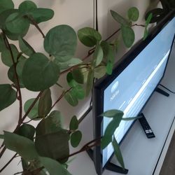 32 Inch Insignia TV With Remote 