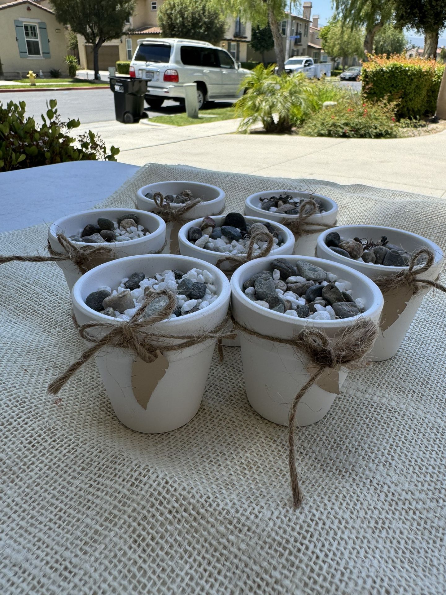 Mini White Flower Pots with Rock (10 Included)
