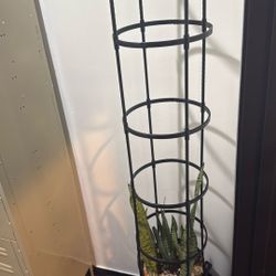 Planters  Base Plant Selfs Stand For Sale Best Offer