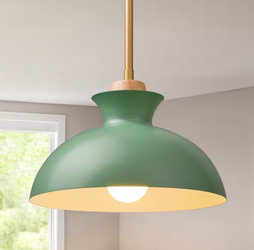 Edishine Manor 60 -Watt 1 Light Green Modern Farmhouse Barn Pendant Light
