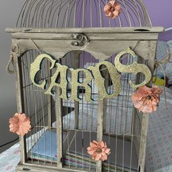 Gift Box (Bird Cage)