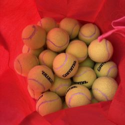 Bag of 30 + Gamma Practice Tennis Balls