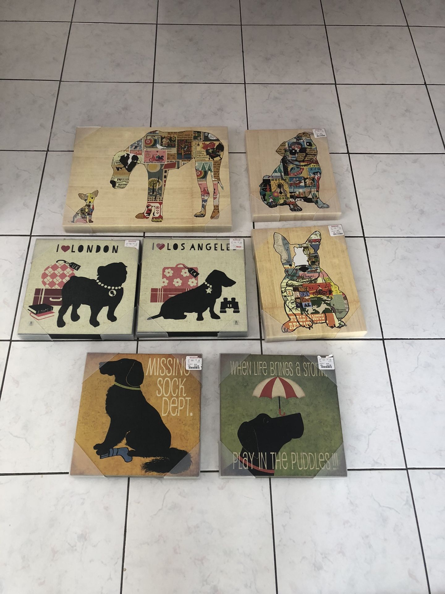 Brand New Dog Pictures