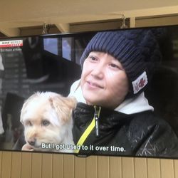 46 Inch Samsung Smart TV