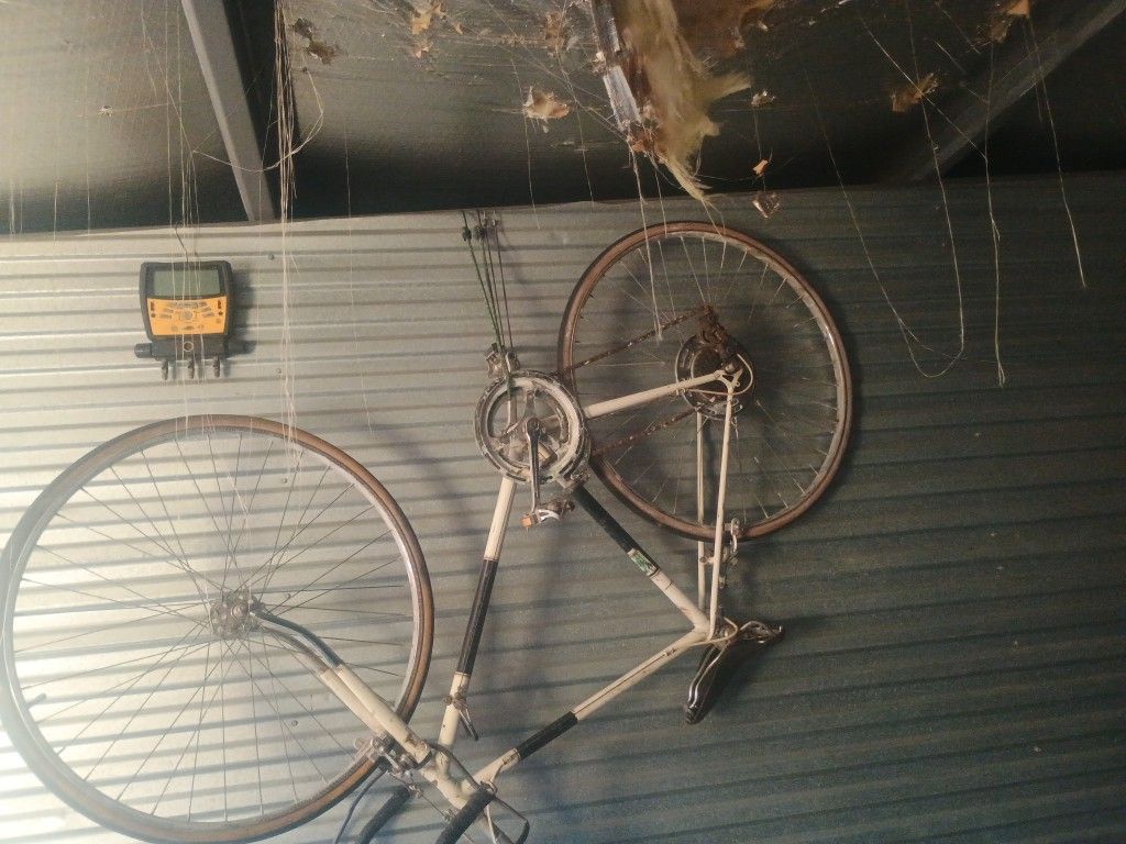 The Raleigh Vintage Bike