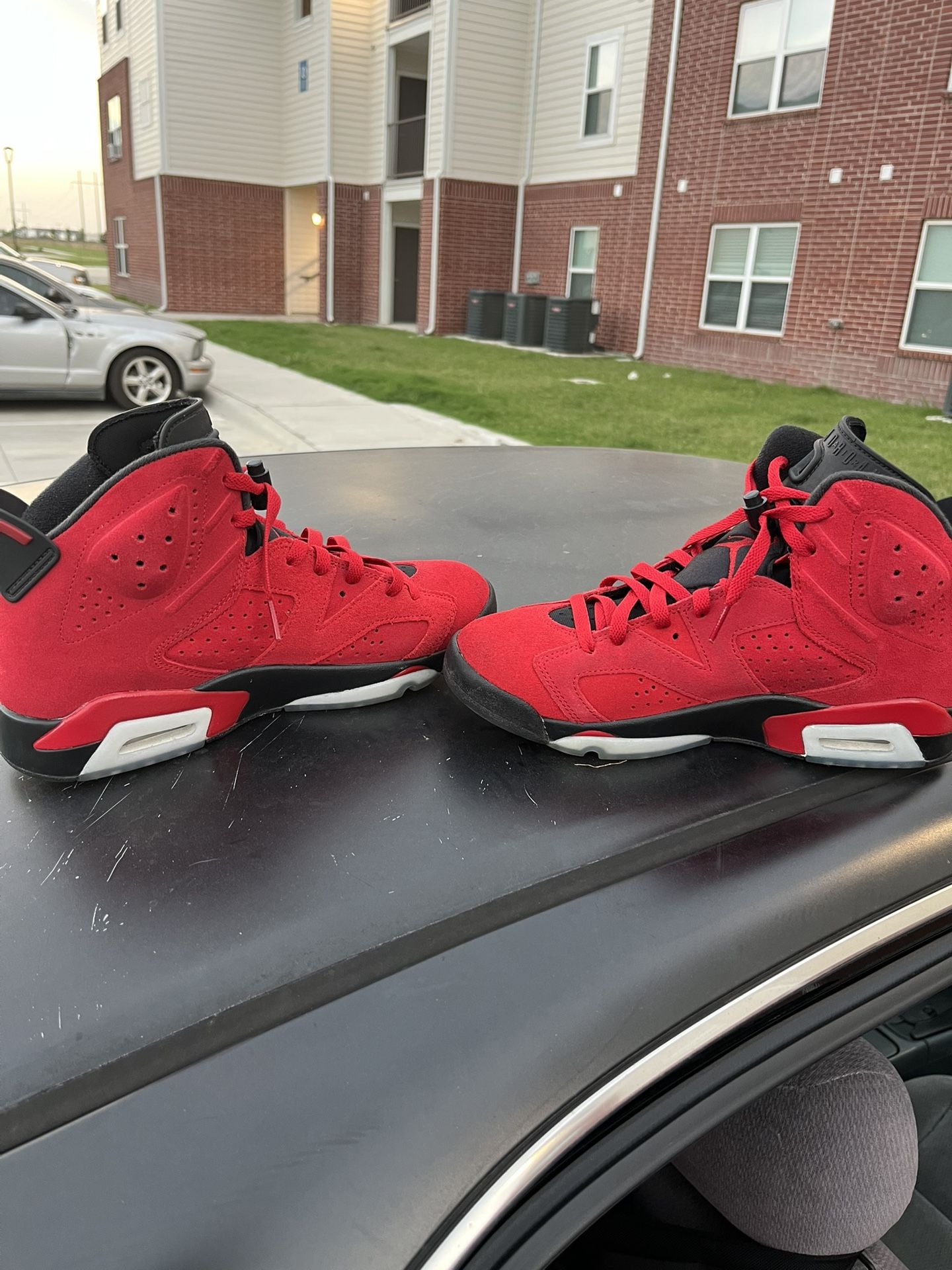 Jordan 6 Toro bravo