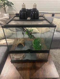 18x18x18 Reptile Terrarium