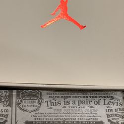 Jordan 3 Levi