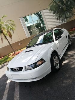 2000 Ford mustang $2200 stick shift