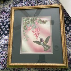 Casta’s Hummingbird and Rivoli Hummingbird By Crystal ShellyPrints