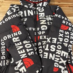 14/16 size the north face winter coat