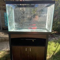 Reptile/fish Tank  