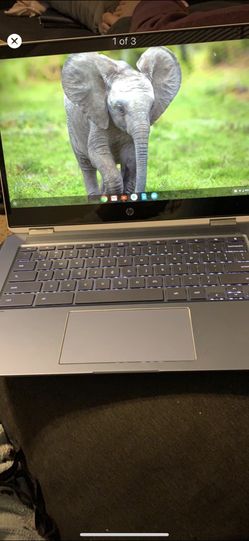 BRAND NEW Chromebook