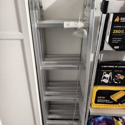 Multi-function Ladder