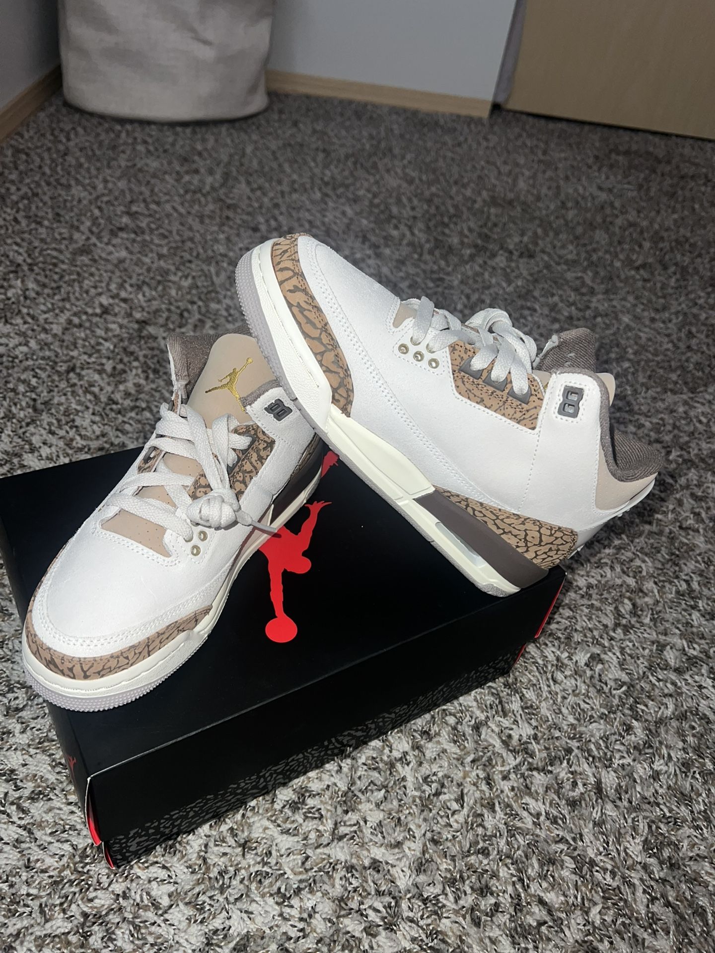 Jordan 3s