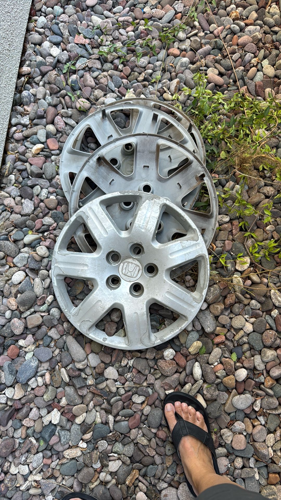 Free Honda Hub Cap 