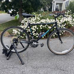 🚴‍♂️ Vintage Bridgestone MB-3 – Legendary Steel Mountain Bike!
