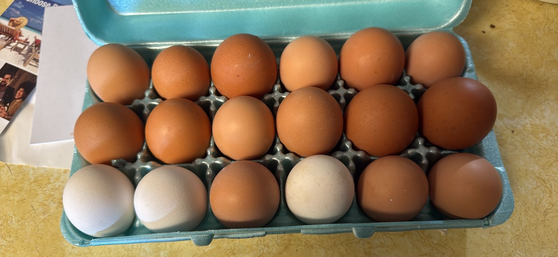 Eggs