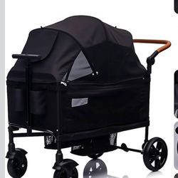Wagon Stroller for 2 Kids & Cargo-Travel Stroller Push-Pull Double Wagon