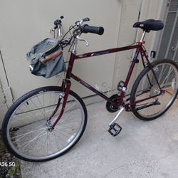 Old Reliable 80s Schwinn Mesa Runner 23" ATB/Commuter