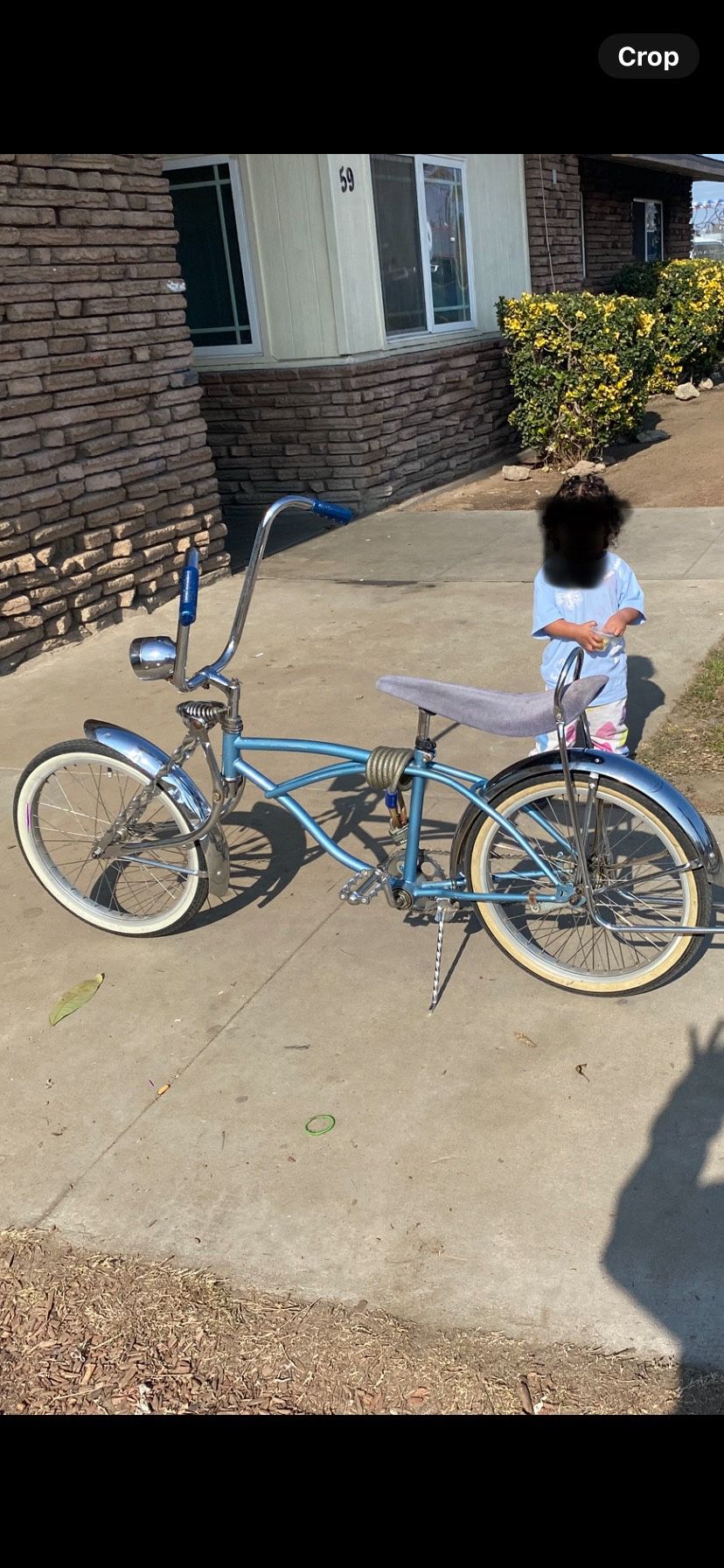 Low Rider Bike