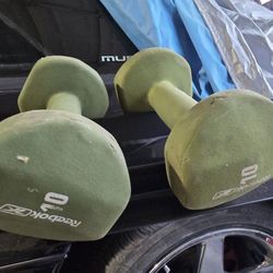 10lb Dumbbells 